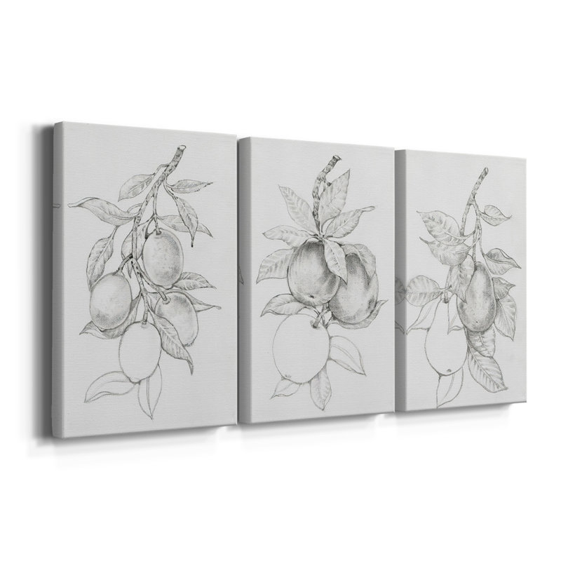 FruitBearing Branch I - Toile tendue avec châssis sur mesure - 3 pièces, H 12 po x l 24 po