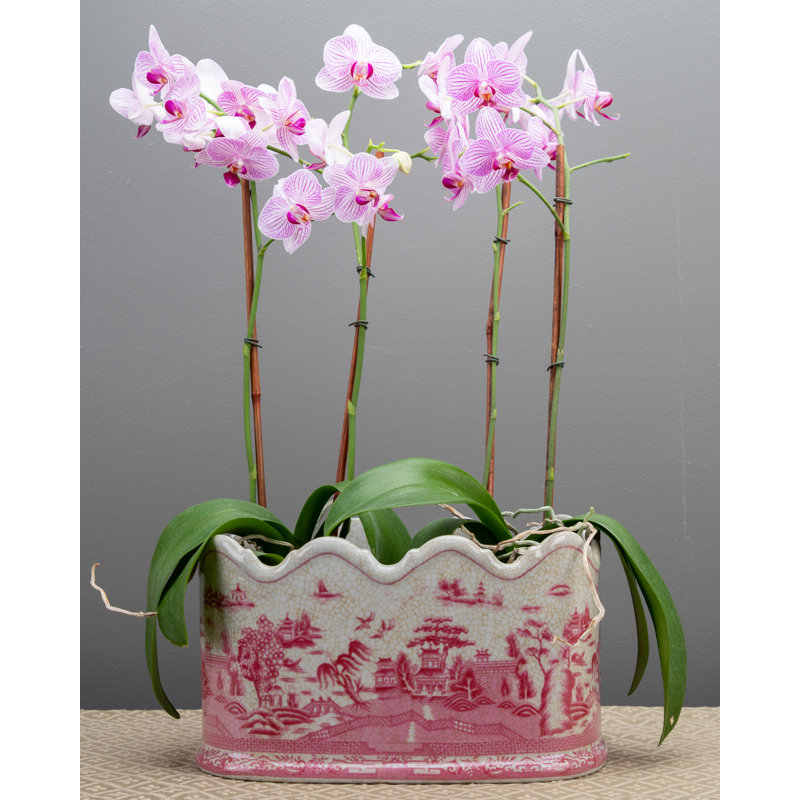 Handmade Ceramic Planter