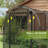 4' x 8' Plant Protection Tent Crop Cage with Door, Black-95146036-98252484