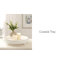 Plateau décoratif Lewter Strahm 16 po de diamètre blanc