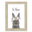 Le lapin est courage-48163492-48169697