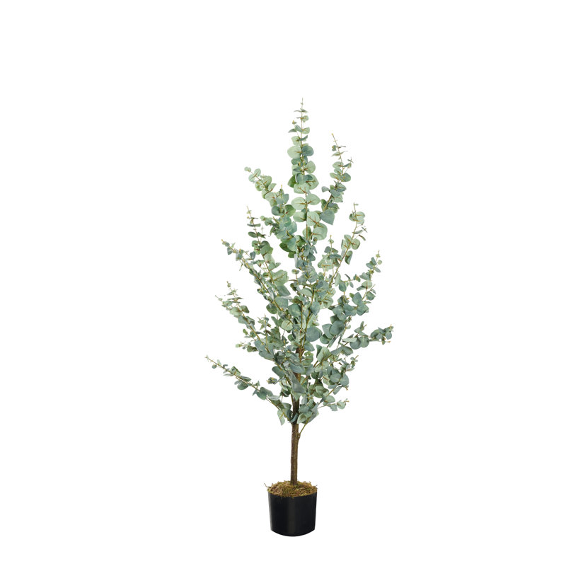 Faux Eucalyptus Tree in Planter