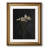 Victorian Dried Wildflower Vintage Botanical Artwork - Gold Framed Wall Art Canvas Print