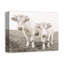 Reproduction de photo de vache blanchie à la chaux-1304853932