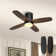 Karlena 36'' Ceiling Fan with LED Lights and Remote Control for Bedroom
