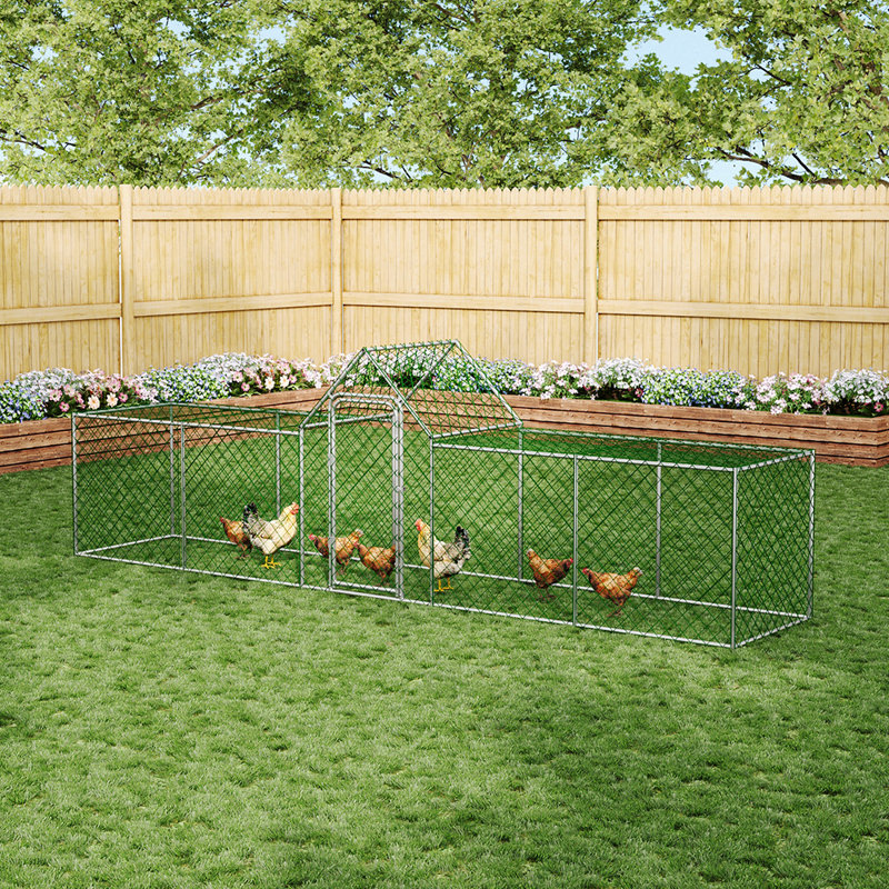7.5m² Chicken Coop