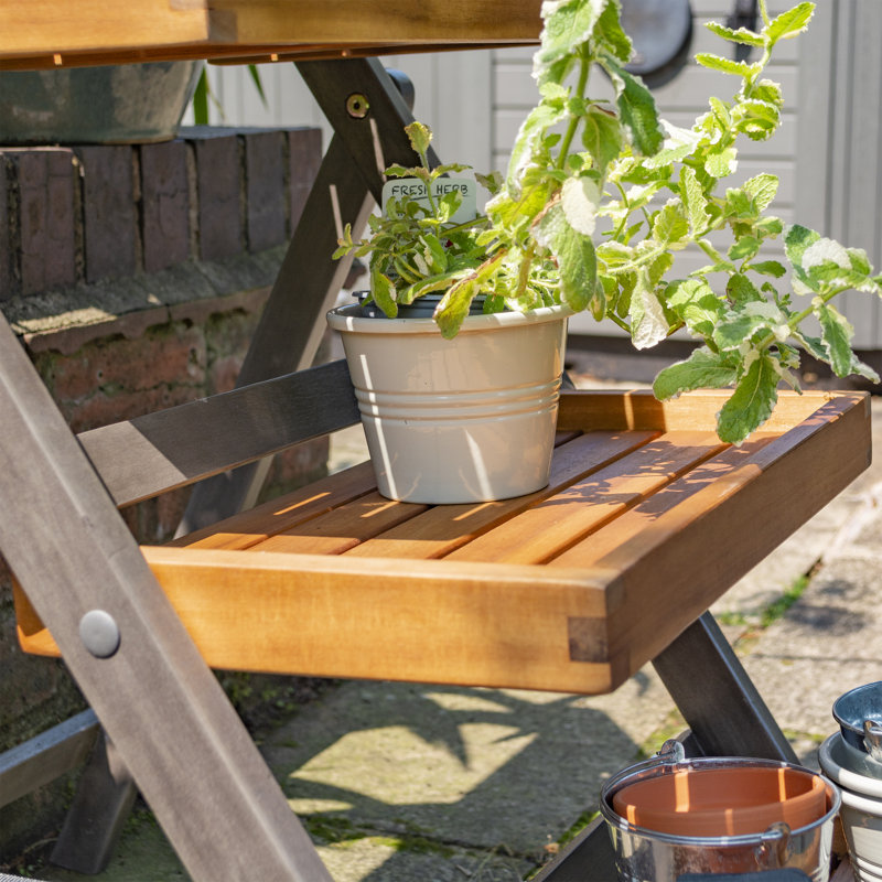 Rowlinson Alderley Plant Ladder, 80.5cm H x 50cm W x 65cm D