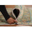 Tapis traditionnel brun 5 x 6
