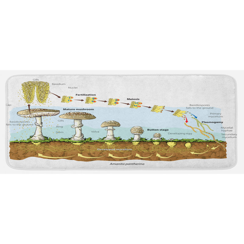 Tapis de cuisine Biology
