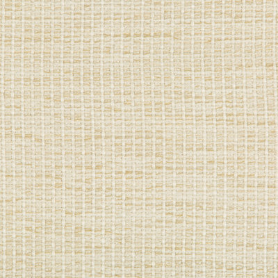 Performance Crypton Home Fabric