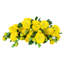 Jets de roses-86731923