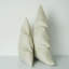Hand Novelty Cushion