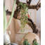 Branche de bégonia-1436228038