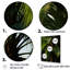 Emerald Jungle Embrace II-97027426-97027427
