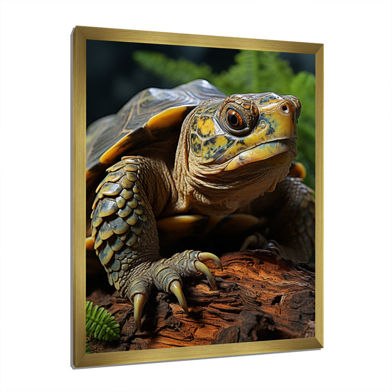 Gros plan sur une tortue vibrante, H 20 po x l 12 po x P 1 po, Cadre doré à une seule photo