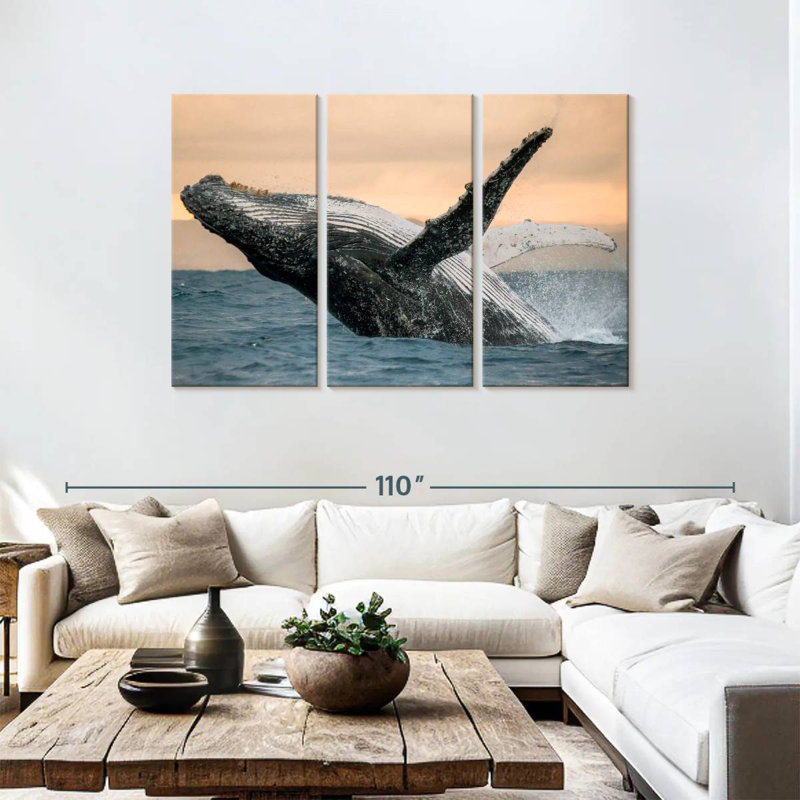 Brampt Humpback Whale Toss, 48" H x 74" W