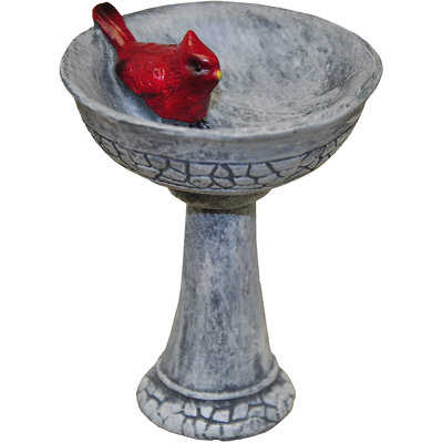 Bain d'oiseaux cardinal miniature Doreon Garden