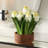 Uttermost Sincerity Potted Hyacinth Plant