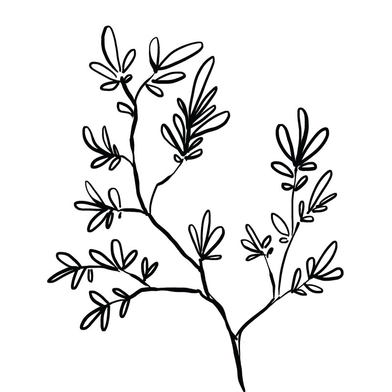 " Leafy Branch ", 48" H x 32" W