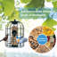 Hengelo Metal Hanging Tube Bird Feeder