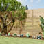 Castanon Garden Privacy Wood Fence Panels Included-1999904634