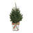 Artificial Multicolor Christmas Tree in Bucket with Plaid Bow-211483192