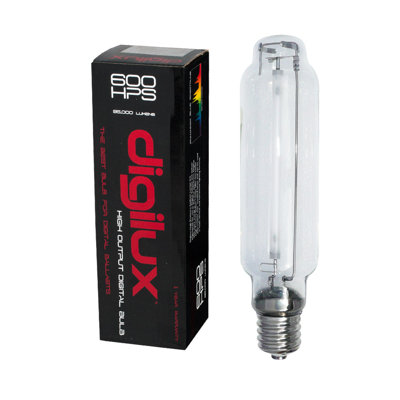 600 W E39/Mogul Xenon/Krypton Bulb