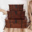 Dilly Trunk Set