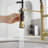 Pull Down Single Handle Kitchen Faucet with Accessories-70472617