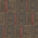 Nostalgie Library Books 32.81' L x 20.87" W Wallpaper Roll