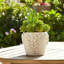 Sagebrook Home 7" Floral Applique Planter, White-358384830-358384828