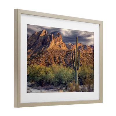 «Tall And Strong Cactus View», reproduction encadrée sous verre, conception de Mike Jones