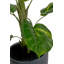120cm Faux Plant in Cement Pot