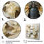 Captivating Moths Insect II - insectes et insectes, art mural-2131000862-2131000850