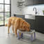 LILLE Elevated Feeder-132780215