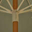 Parasol-466899191