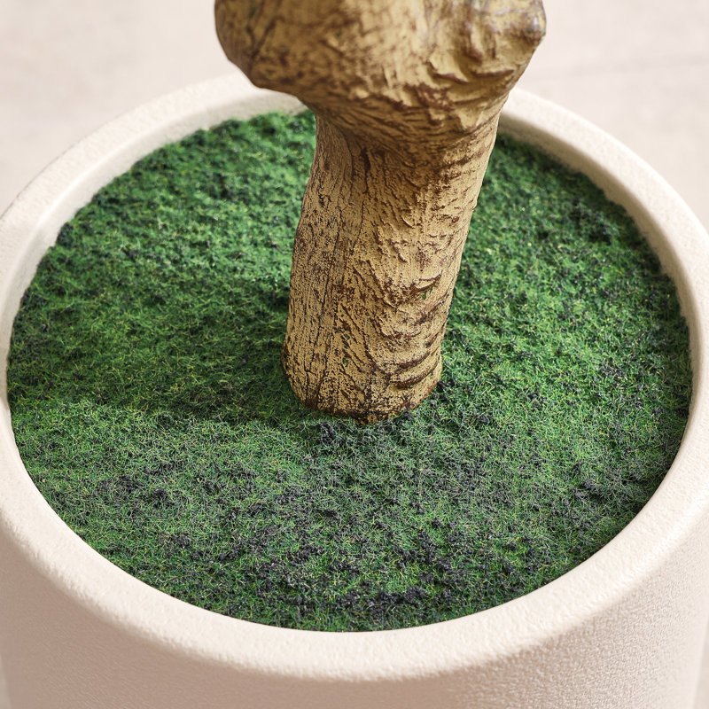 Olive artificielle Ashwell avec pot blanc, 72 po x 11 po