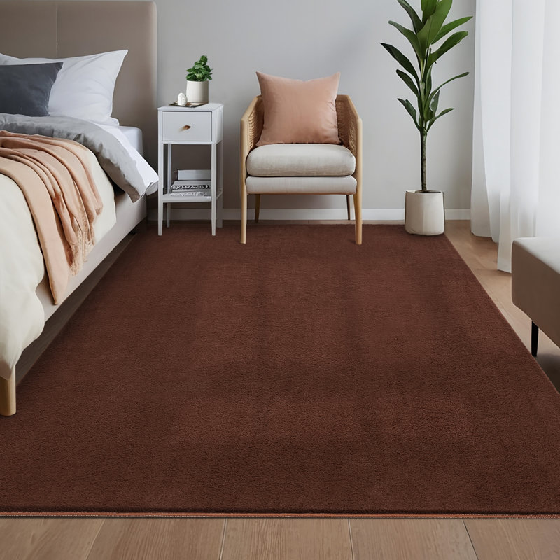 Machine Washable Rug Super Soft Fluffy Area Rug for Bedroom Modern Shaggy Rugs Fuzzy Kids Room Rug Plush Indoor Non-Slip Accent Carpet for Nursery Living Room Home Decor