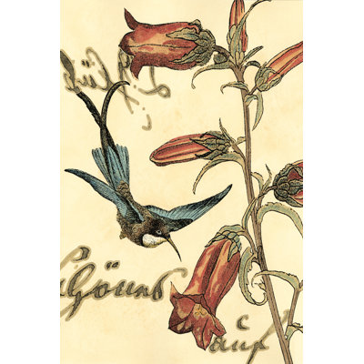 Small Hummingbird Reverie I (HI) by Vision Studio - Wrapped Canvas Art Prints