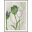 Into Blossom 2 Print by Art House Studios-1750106916