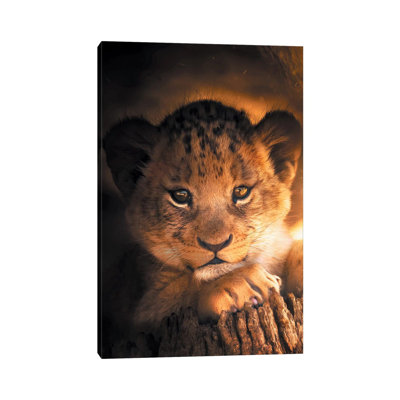 Lion Cub by Zenja Gammer - Print on Canvas