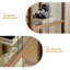Vitrines en bois massif brun