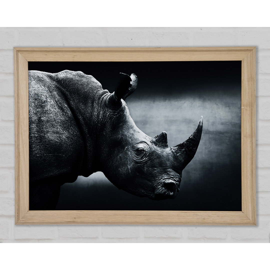 Rhinoceros Beauty - Einzelner Bilderrahmen Kunstdrucke