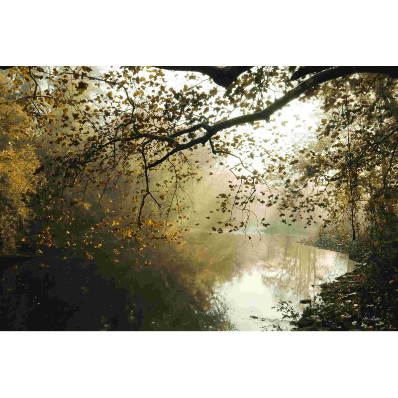 Rayons du matin à Swatara Creek 2885419, L 12 po x H 8 po