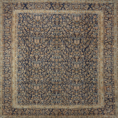 Oriental Indoor Rug
