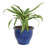 Berlina Round Imperial Ceramic Outdoor Planter-2096414549-2096375821