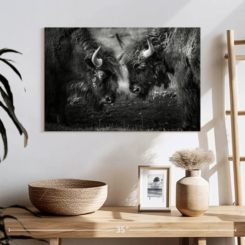 Bison de Brampt, tête à tête, H 16 po x l 24 po