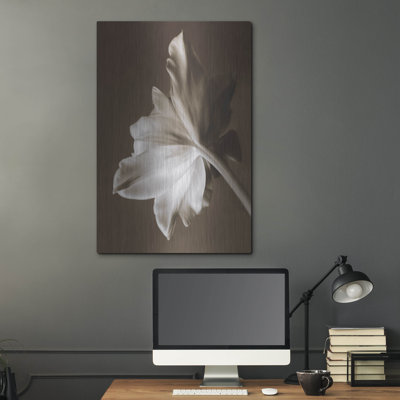 «Moonglow Tulip» par Rebecca Swanson