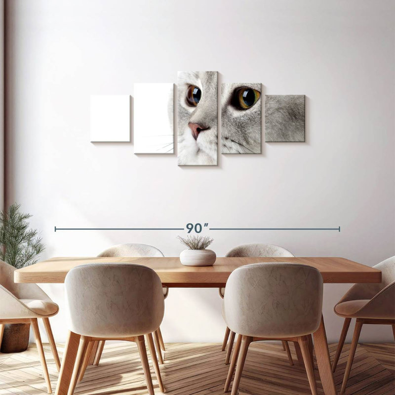 Fluffy Gray Cat, 30" H x 68" W