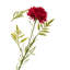 Mum Arrangement-714112219